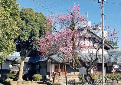 光る君へ,ロケ地